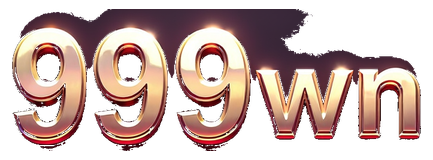 9999wn logo
